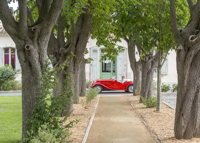Cerise Carcassonne Sud